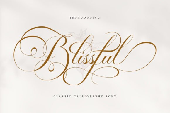 Blissful: A Premium Script Font for Campaign Design