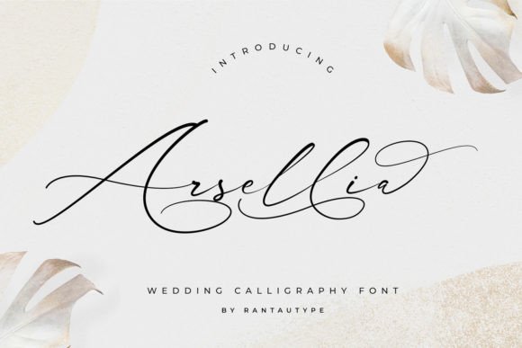 Introducing Arsellia: A Script Font That Brings Personality to Branding